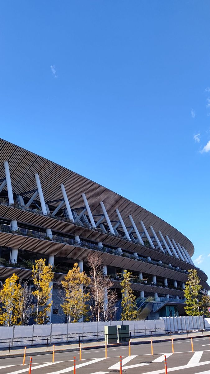 青空の下の国立競技場。木の軒庇が幾重にも重なり、手前に黄葉した木が並ぶ