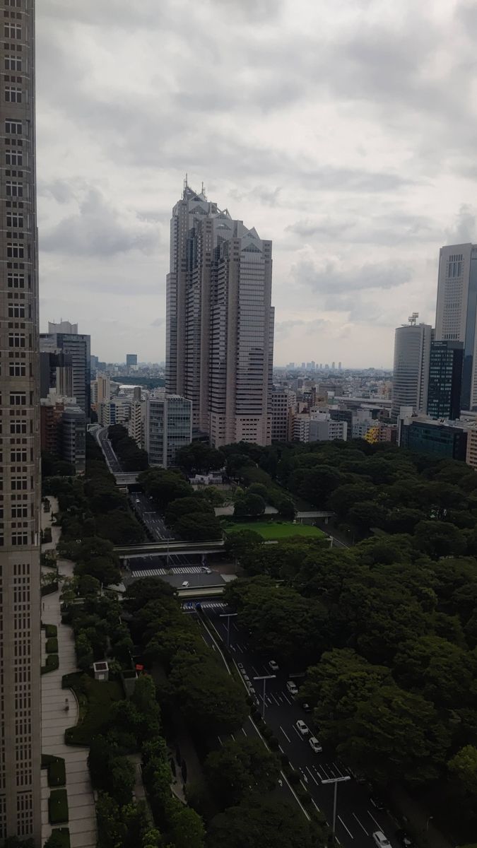 高層ビルの上から見下ろした新宿中央公園。道路の両側に濃い緑の木々が広がり、奥に新宿パークタワーが立つ