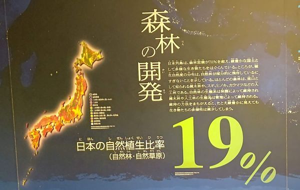 暗い壁の展示パネル。光る日本地図の横に「森林の開発」「日本の自然植生比率(自然林・自然草原)19%」の文字